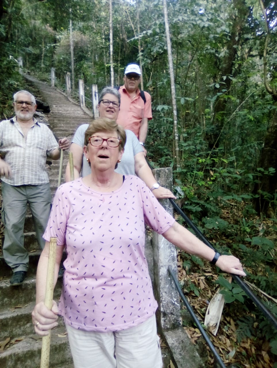 Mr. Buchner and his German group of friends walking down a long forest staircase in the Meghalaya hills during their Northeast India journey