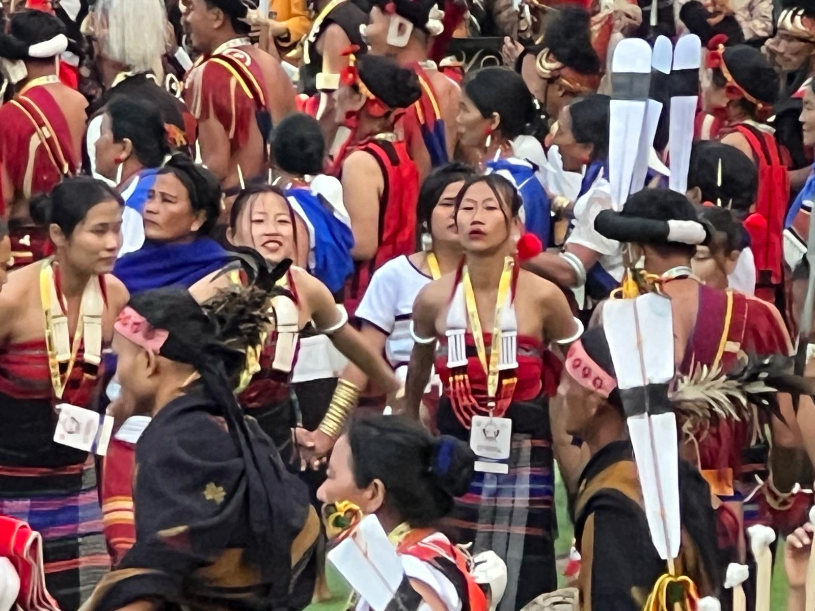 Hornbill Festival Kisama Nagaland 8